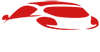 Excurtis