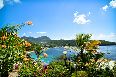 Île aux fleurs de la Martinique
