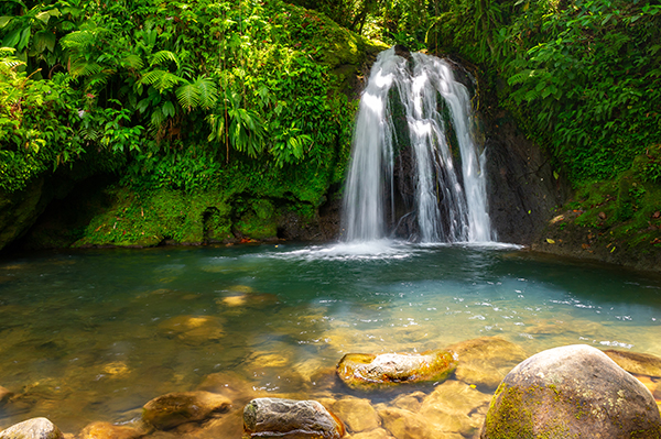 Parc National de la Guadeloupe