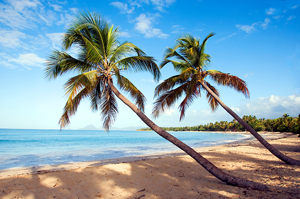 Plages des Salines en Martinique