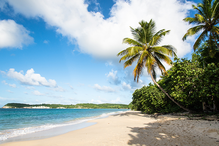 Louer votre voiture en Guadeloupe