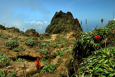 Volcan La soufrière en Guadeloupe